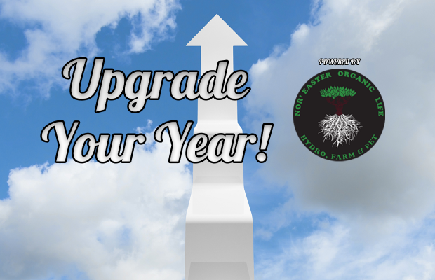 Upgrade Your Year Contest Rules!