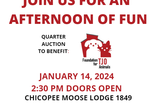 Foundation for TJO Animals Quarter Auction