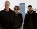Sting