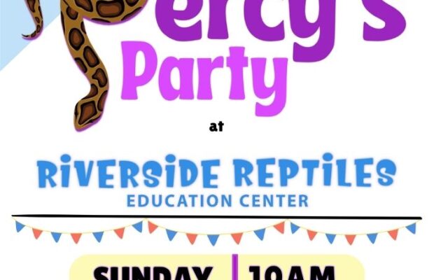 Percy\’s Party at Riverside Reptiles